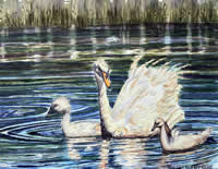 Cygnets on the Water by Melissa Hunter-Ensor